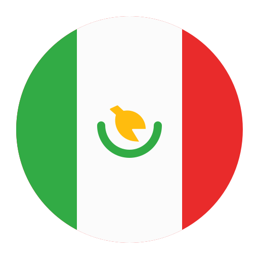Bandera idioma